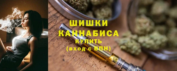СК Богородицк