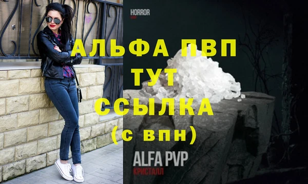 СК Богородицк