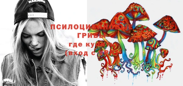 СК Богородицк